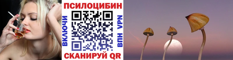 Псилоцибиновые грибы Cubensis Купить закладки Моздок