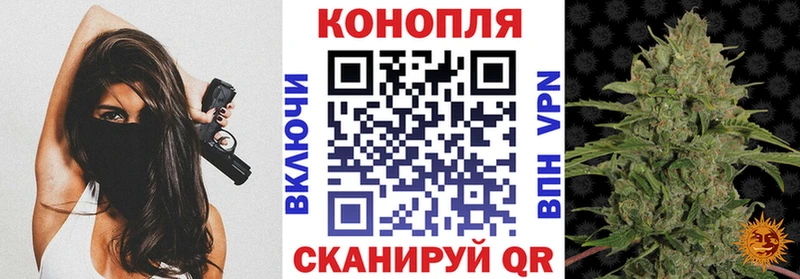 Бошки Шишки OG Kush  Купить закладки  Моздок 